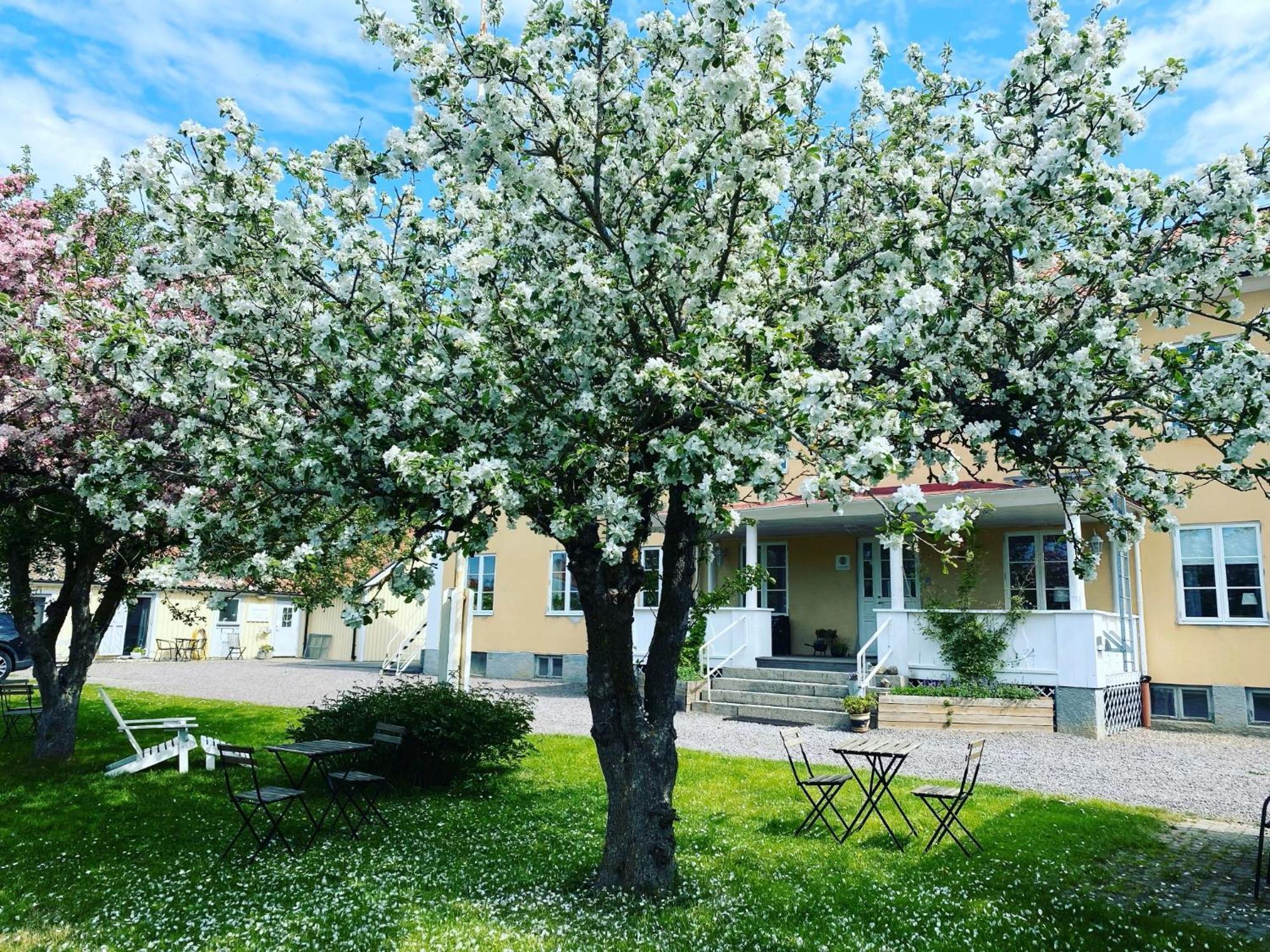 Vadstena Vandrarhem-Hostel Esterno foto